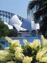 Sydney Opera Houes from the Botanic Gardens  Australia
